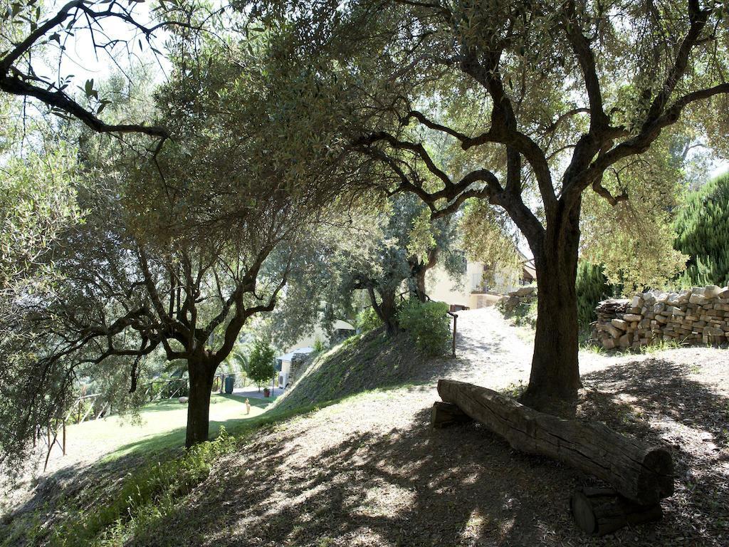 Villa Bernadette San Mauro Cilento Luaran gambar