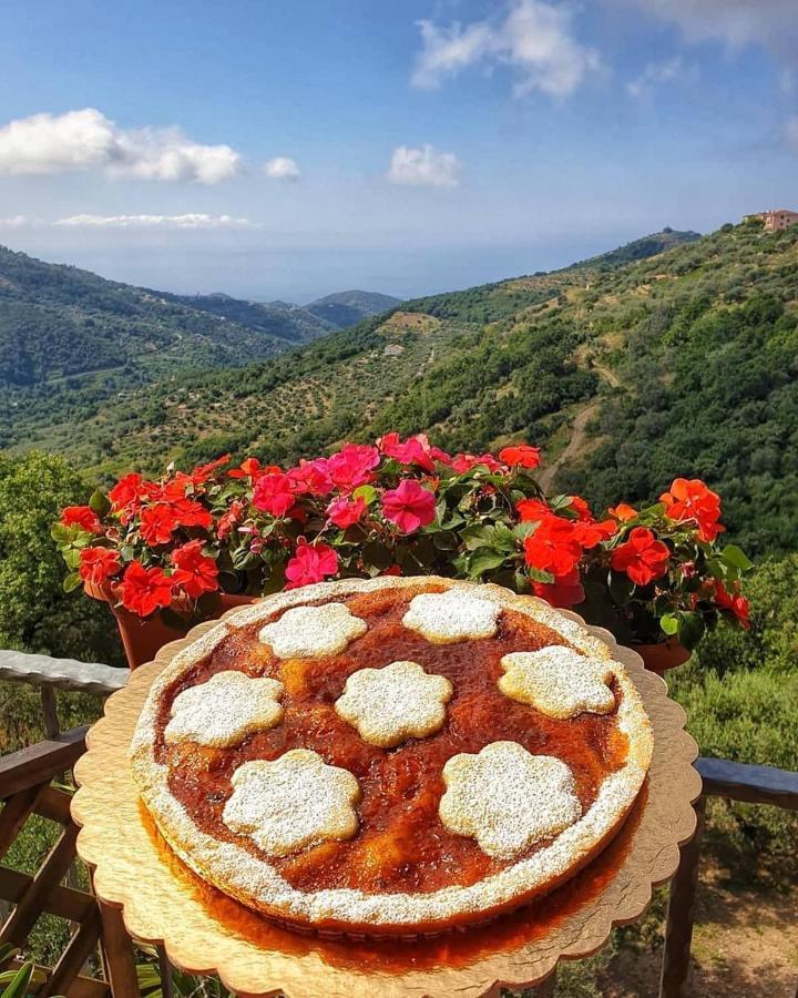Villa Bernadette San Mauro Cilento Luaran gambar